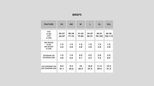 Alphx_briefs_size_chart