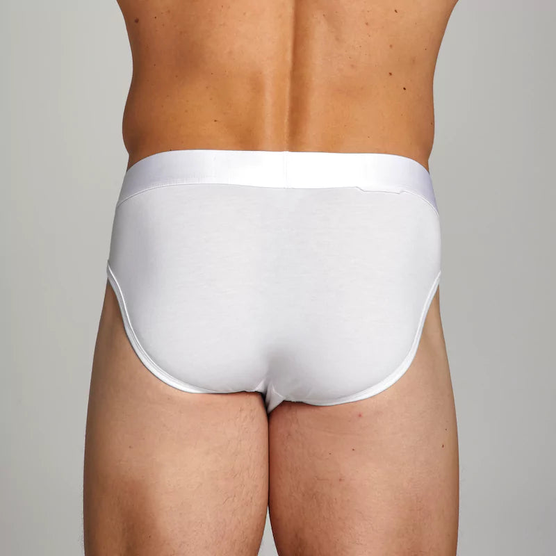 ALPHX Briefs Modern Fit Frost White- Low Rise Full Coverage Underwear ALPHX Alphx.com